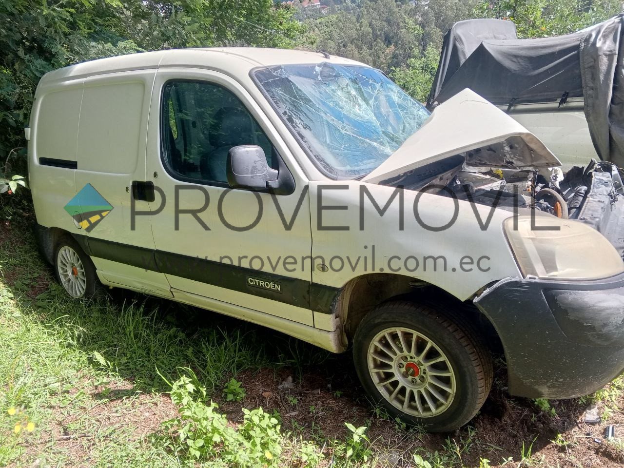 WhatsApp Image 2025-06-10 at 16.14.19