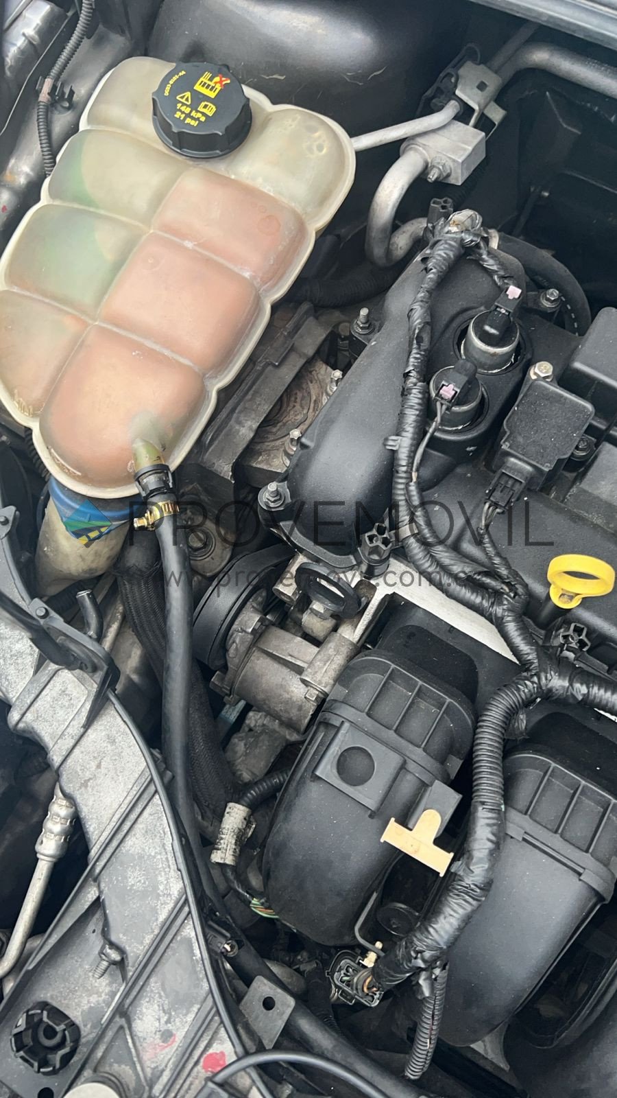 WhatsApp Image 2025-08-06 at 15.20.23