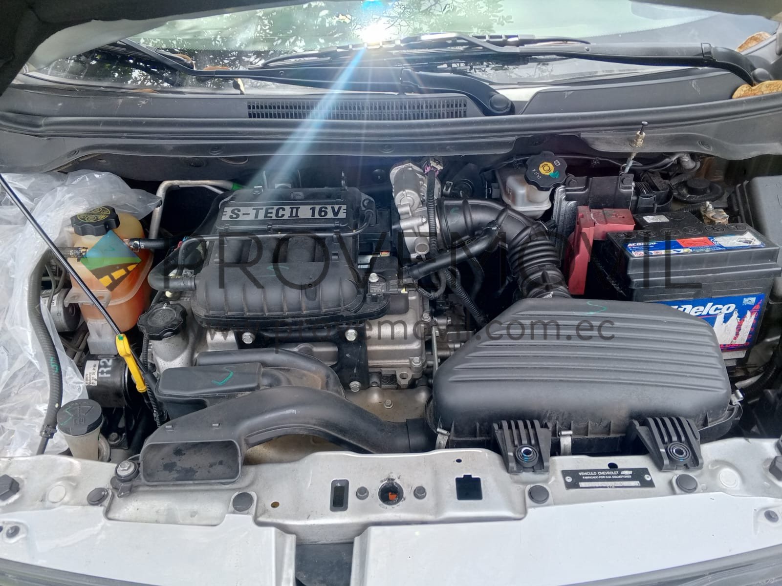 WhatsApp Image 2025-10-02 at 10.56.08 (1)