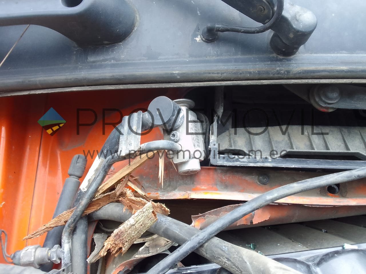 WhatsApp Image 2025-11-27 at 10.04.38