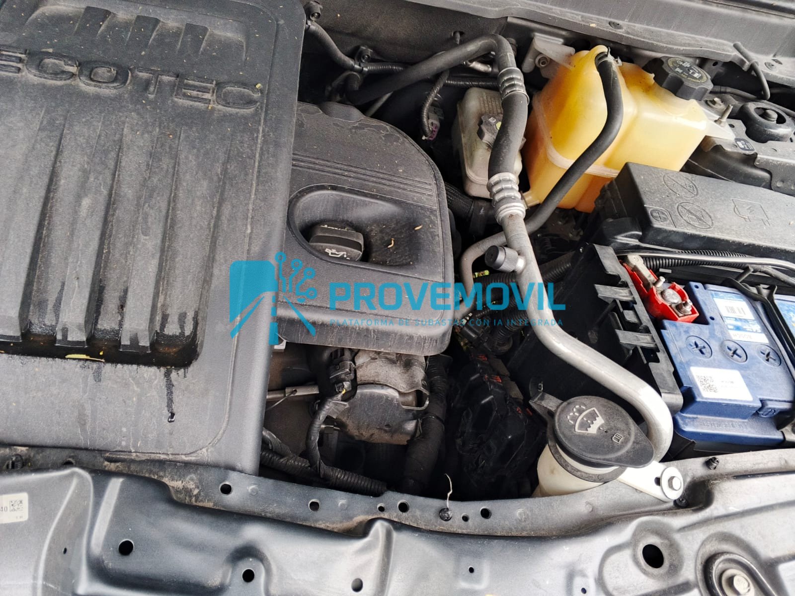 WhatsApp Image 2026-03-10 at 15.34.14