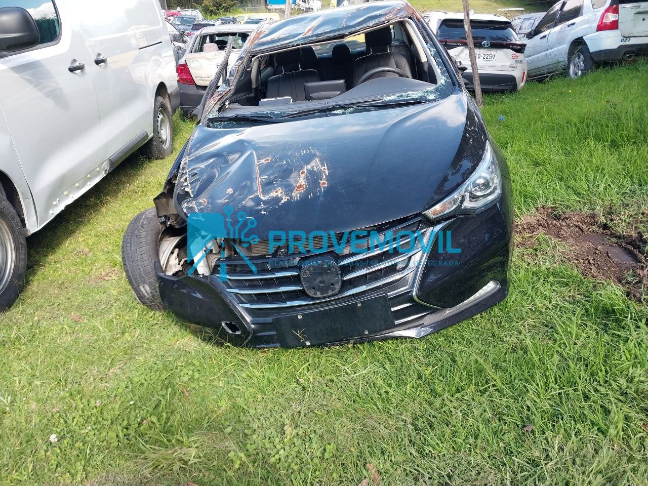 photo_5019633003482778580_y