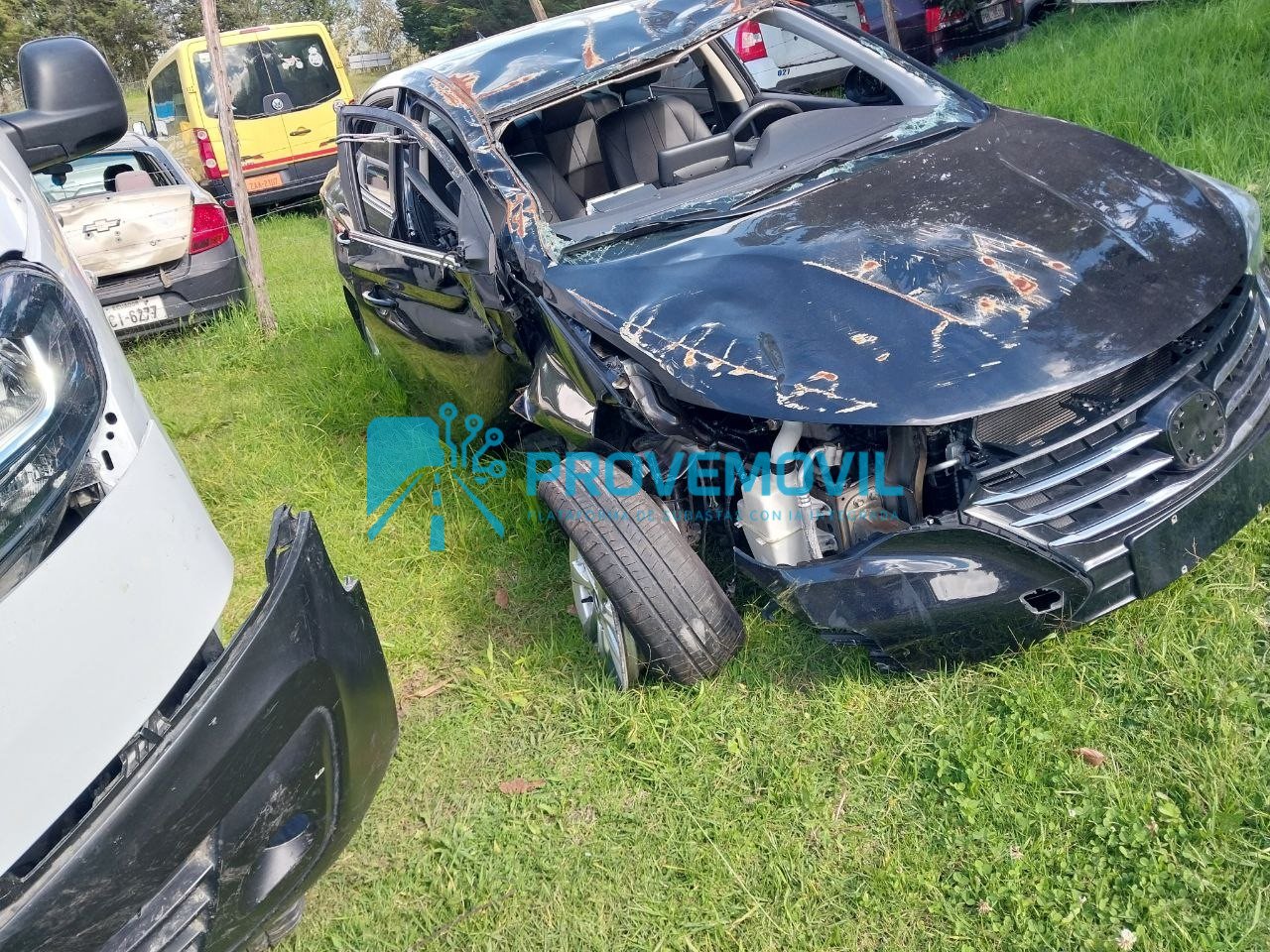 photo_5019633003482778581_y