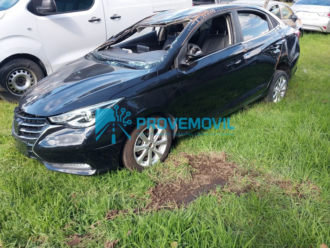 photo_5019633003482778583_y