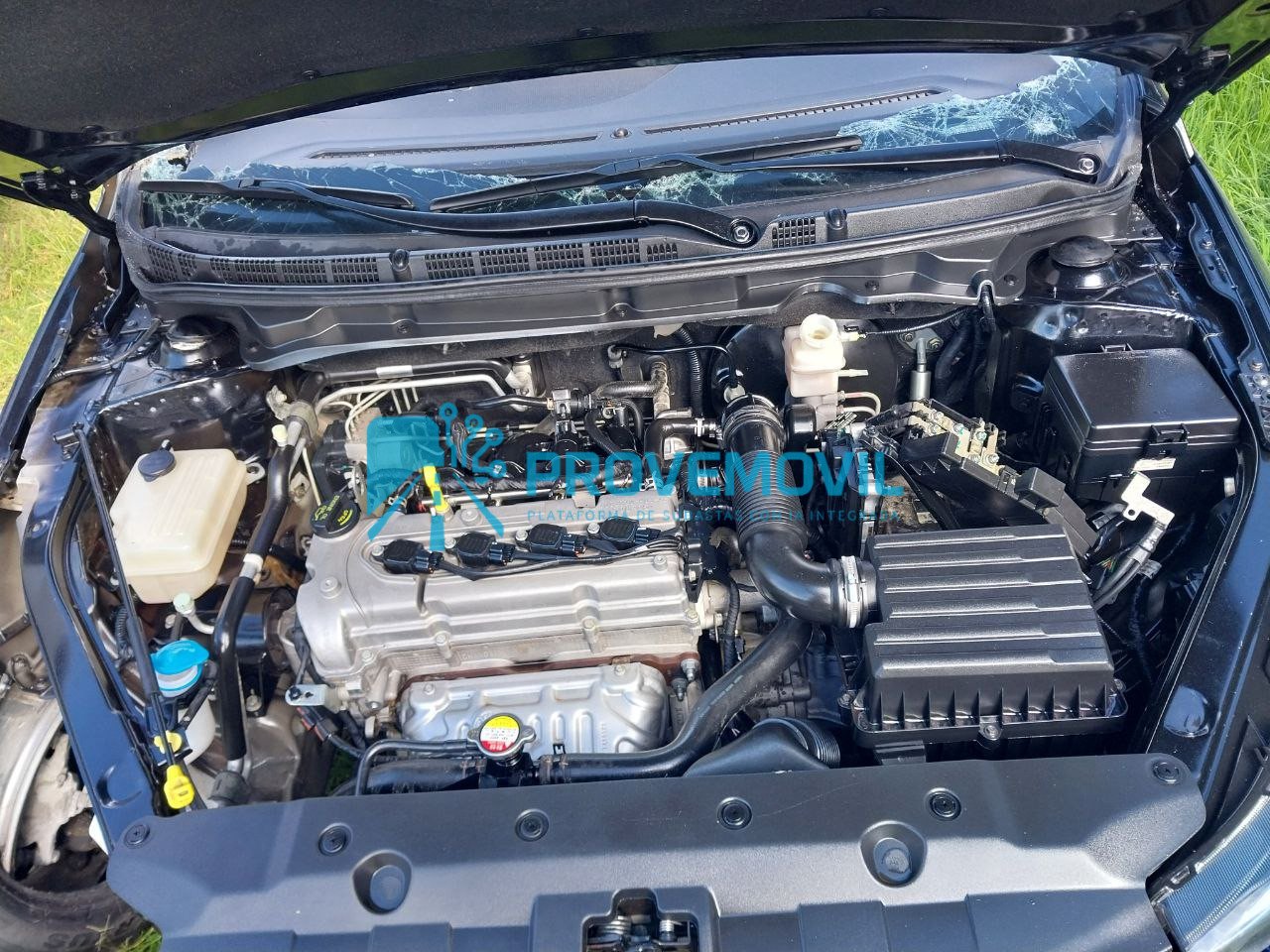 photo_5019633003482778584_y