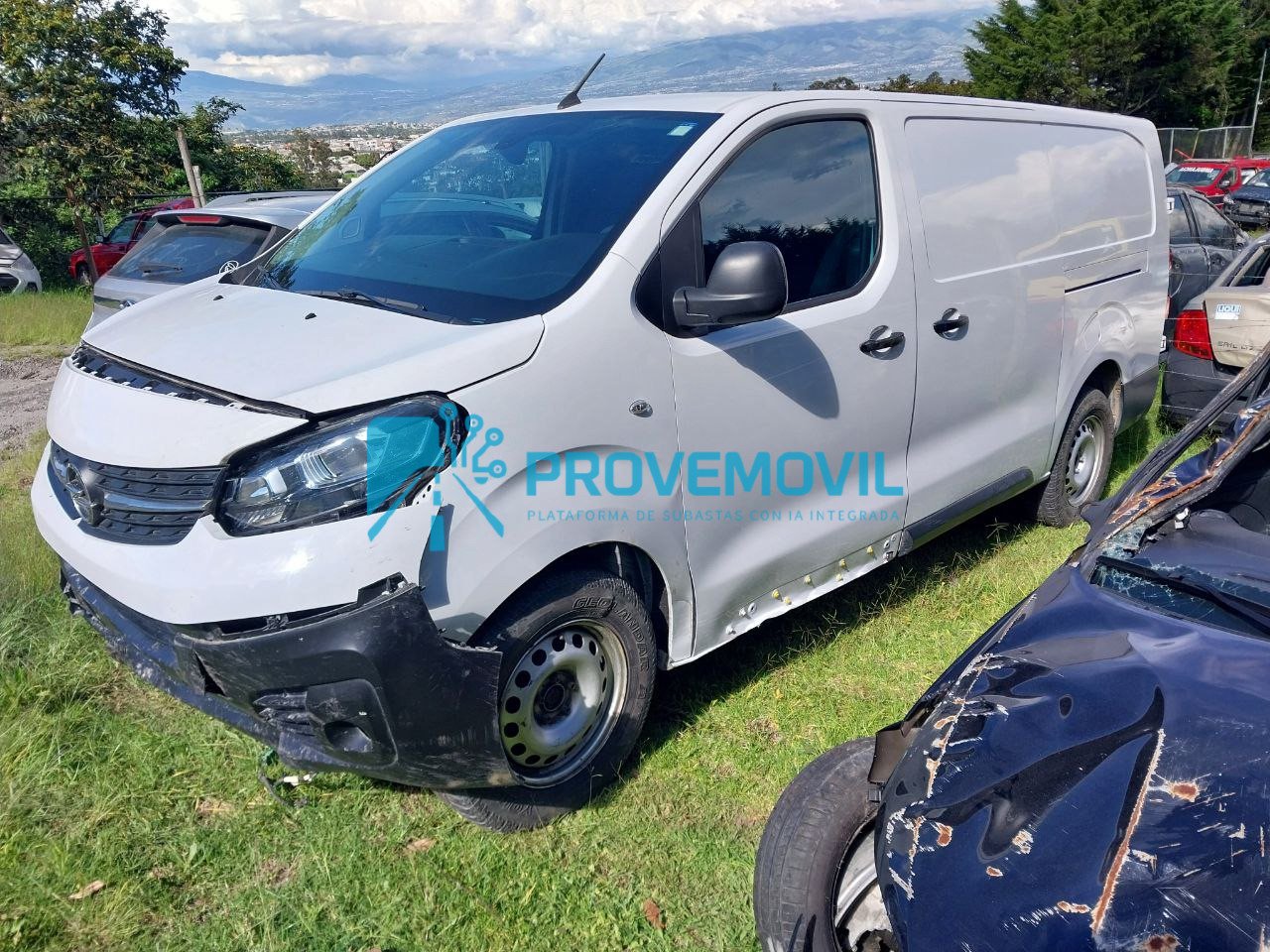 photo_5019633003482778586_y