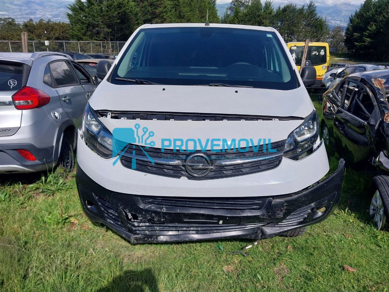 photo_5019633003482778587_y