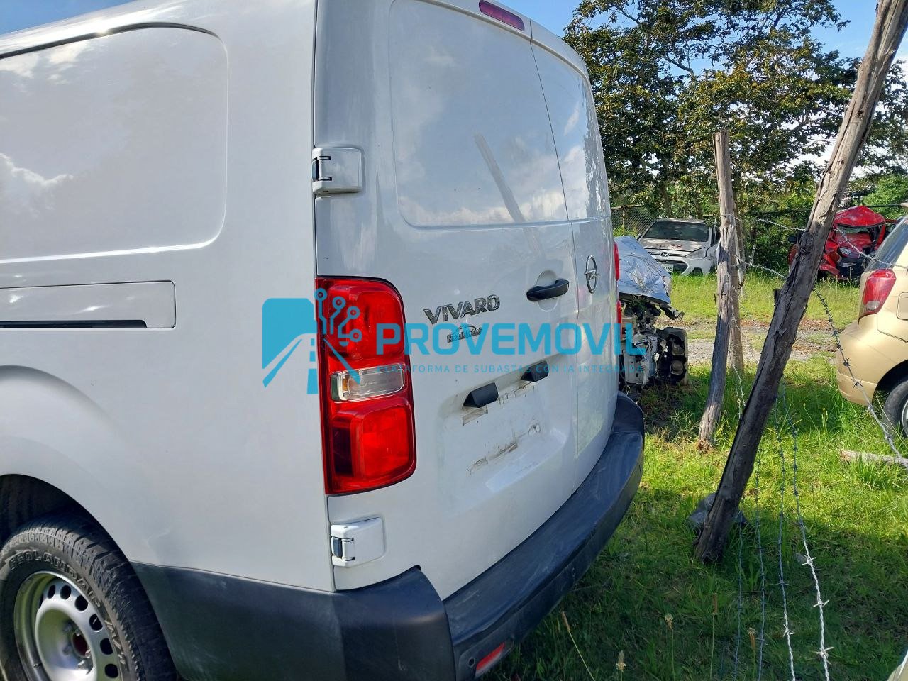 photo_5019633003482778588_y