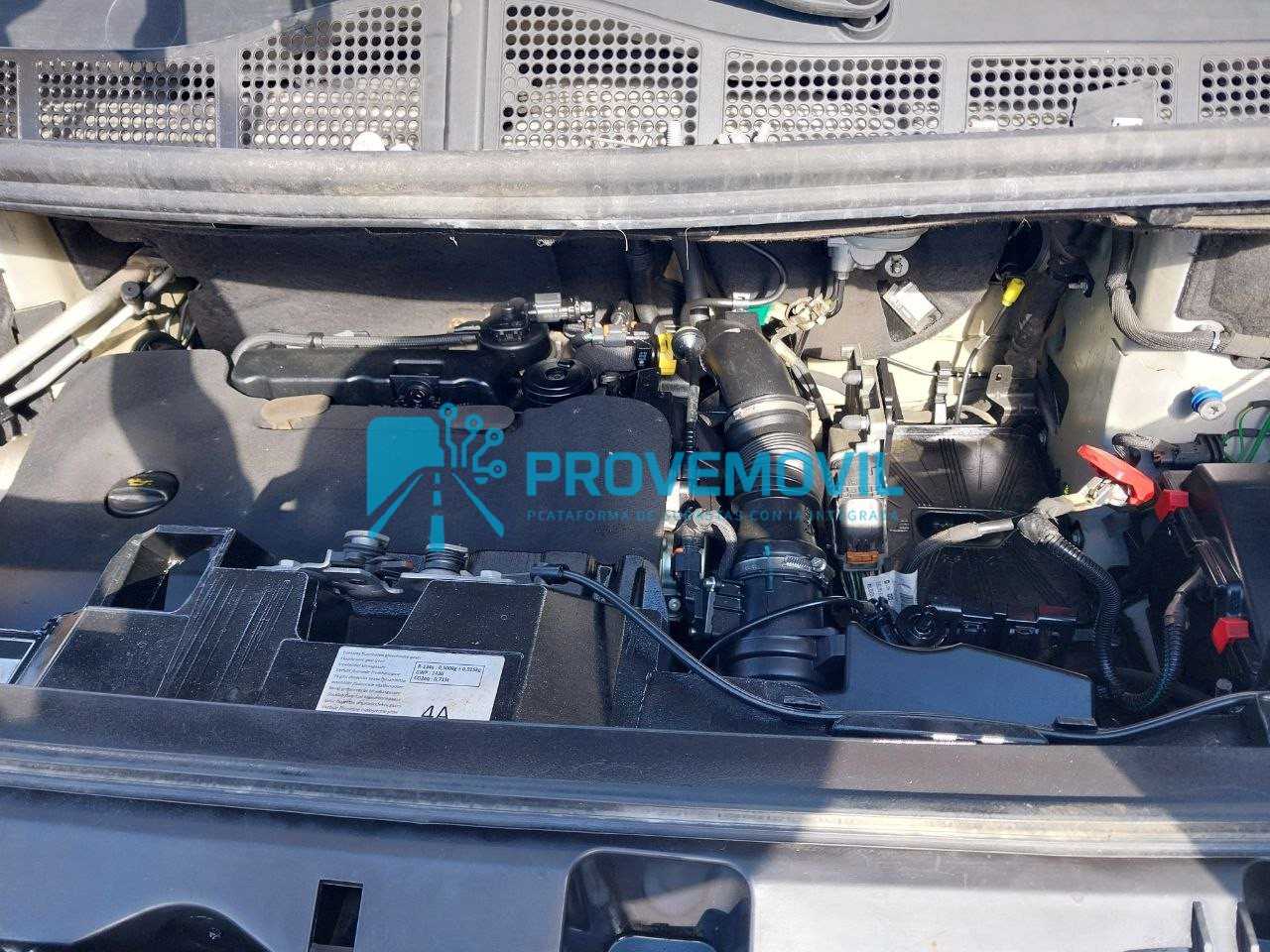 photo_5019633003482778590_y