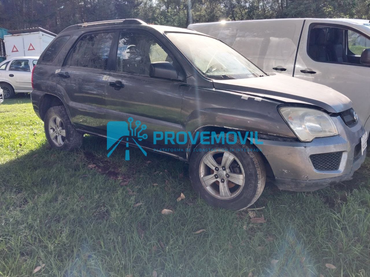 photo_5019633003482778593_y