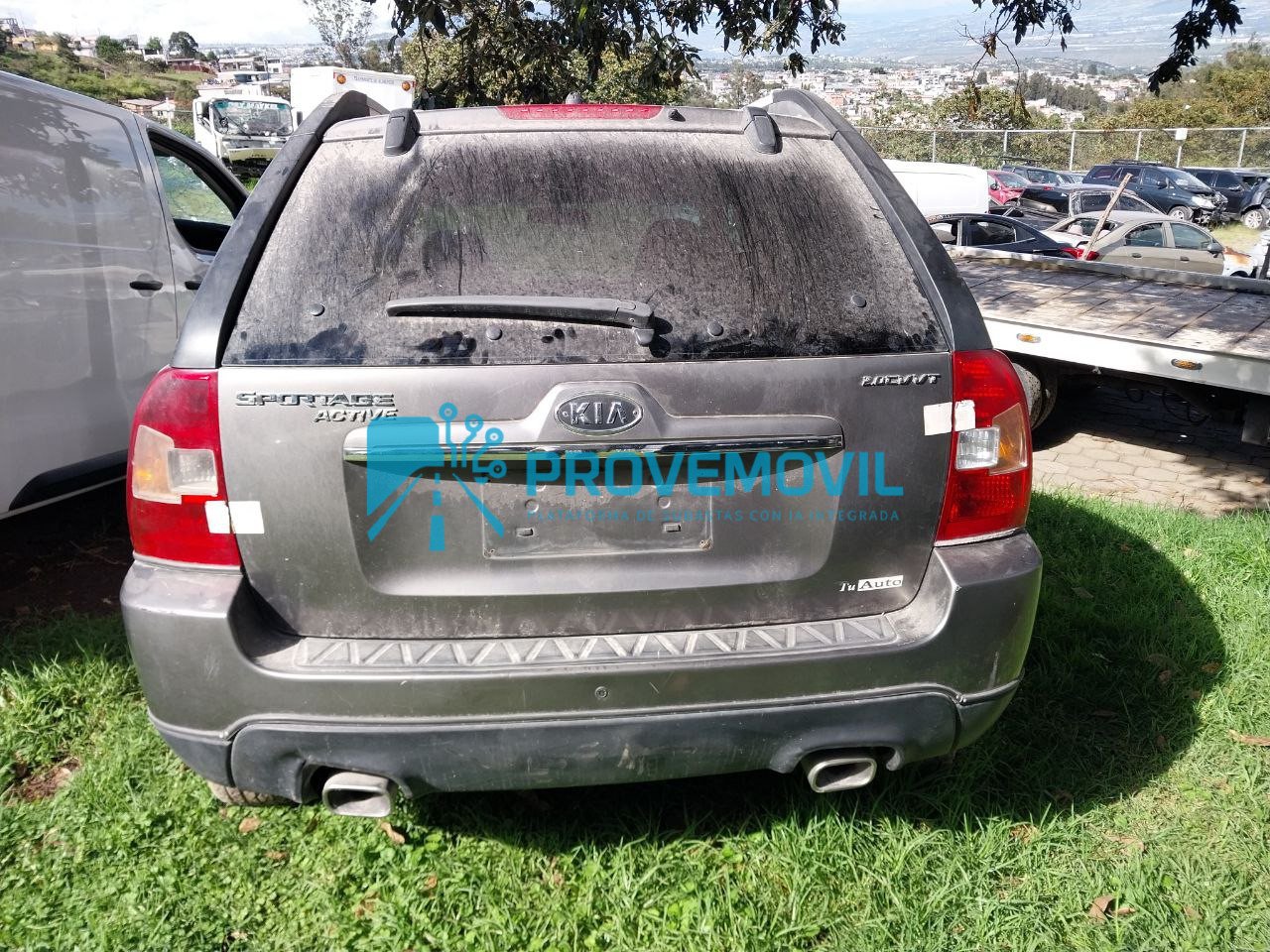 photo_5019633003482778594_y