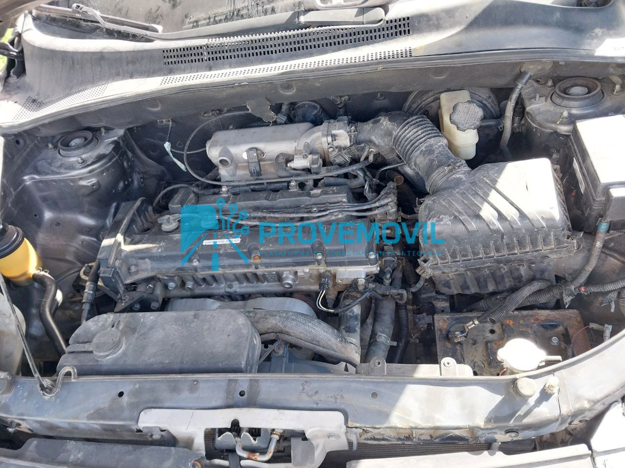 photo_5019633003482778596_y